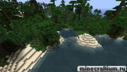 Soartex_Fanver( 5