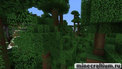 Soartex_Fanver( 4