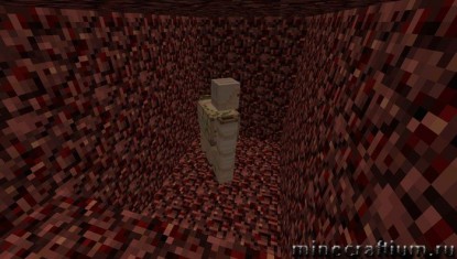 nether map 3