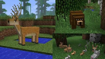 animals_7042311_min