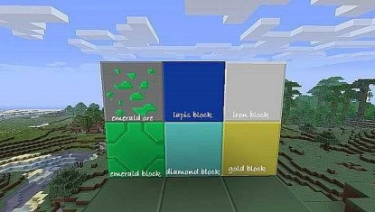 Y-5-Pack-1_min